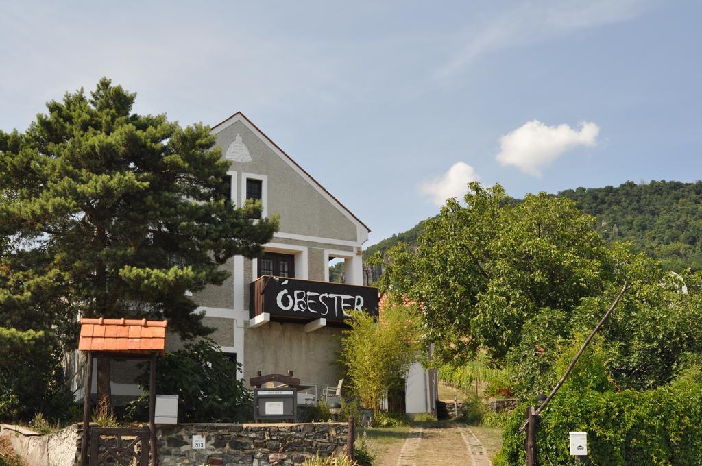 Obester Panzio Badacsonytomaj Esterno foto